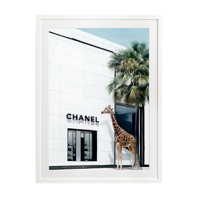 RODEO DRIVE Framed Print