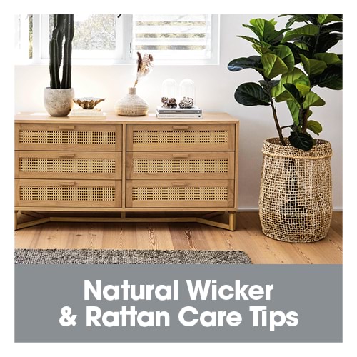500x500_Natural Wicker &amp; Rattan Care Tips.jpg