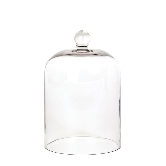 PALM BEACH COLLECTION Glass Cloche