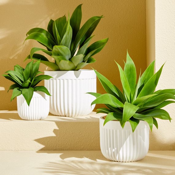 VALI Planter