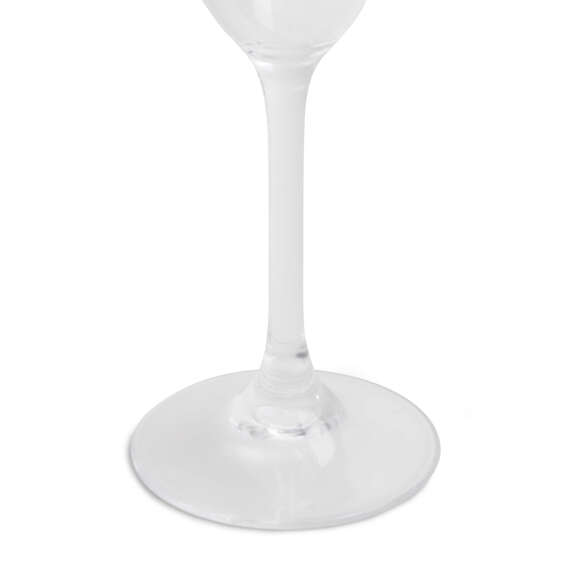 SHOREHAM Acrylic Champagne Flute