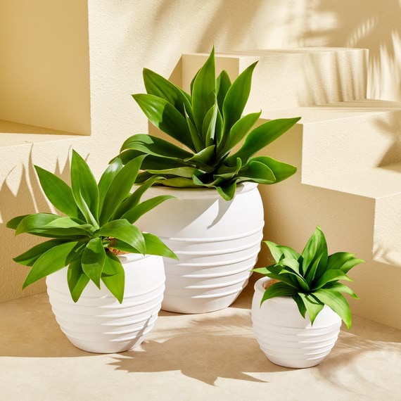 FEDERICA Planter