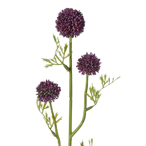 ALLIUM Three Head Stem