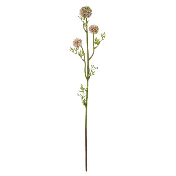 ALLIUM Three Head Stem