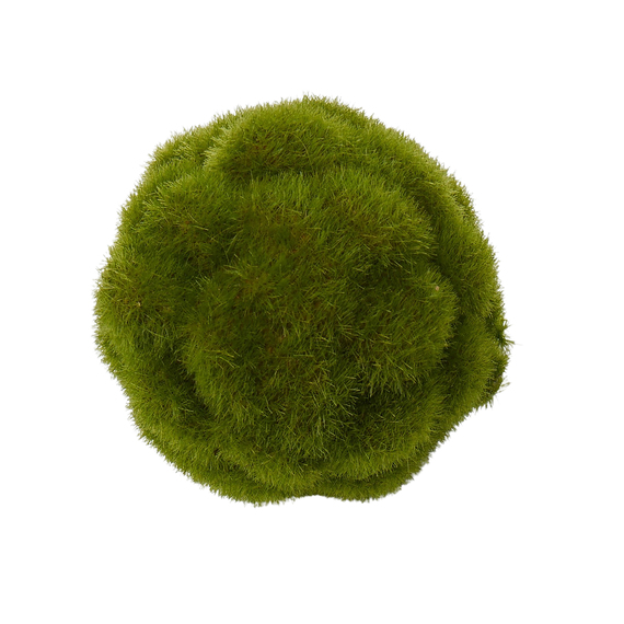 SuperMoss Moss Ball - 4 inch, Green