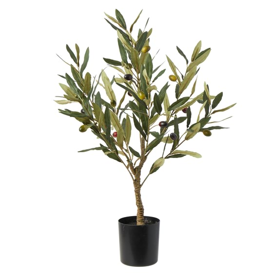 OLIVE Tree Garden Pot