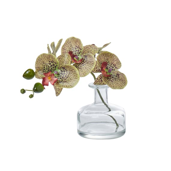 ORCHID Glass Vase Arrangement