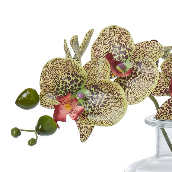 ORCHID Glass Vase Arrangement