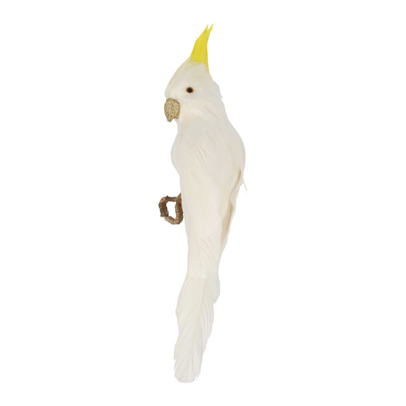 COCKATOO Bird