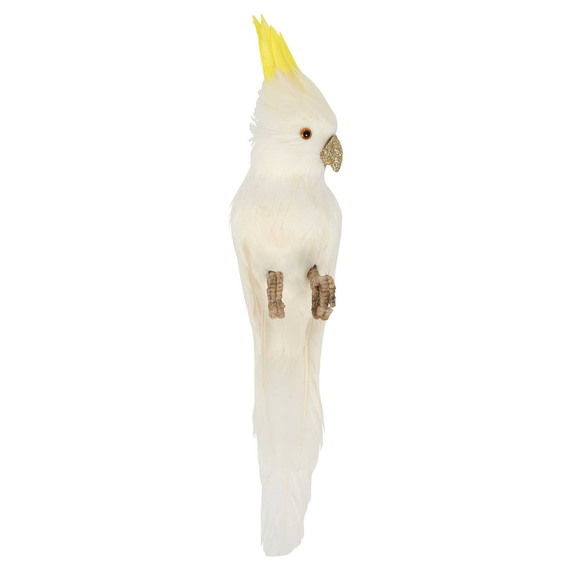 COCKATOO Bird