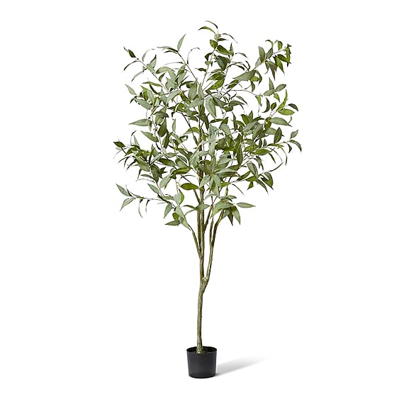 GUM Potted Tree