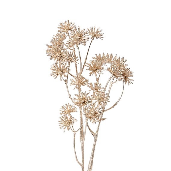 ARALIA Spray