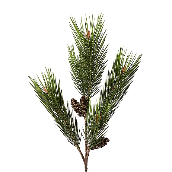 PINE FIR Spray