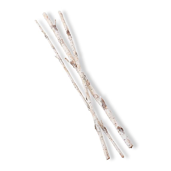 SILVER BIRCH Branch Bundle