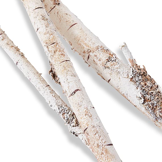 SILVER BIRCH Branch Bundle