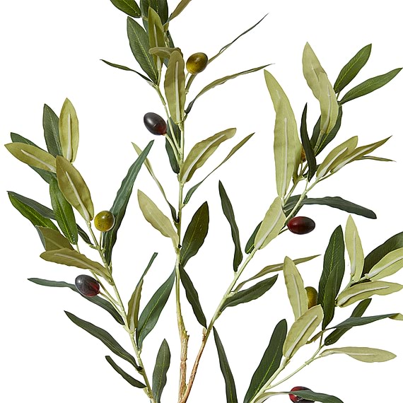 OLIVE Spray