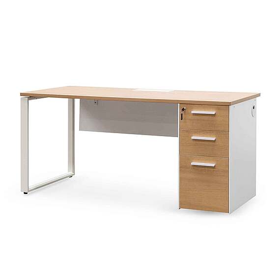 TERNITZ Office Desk