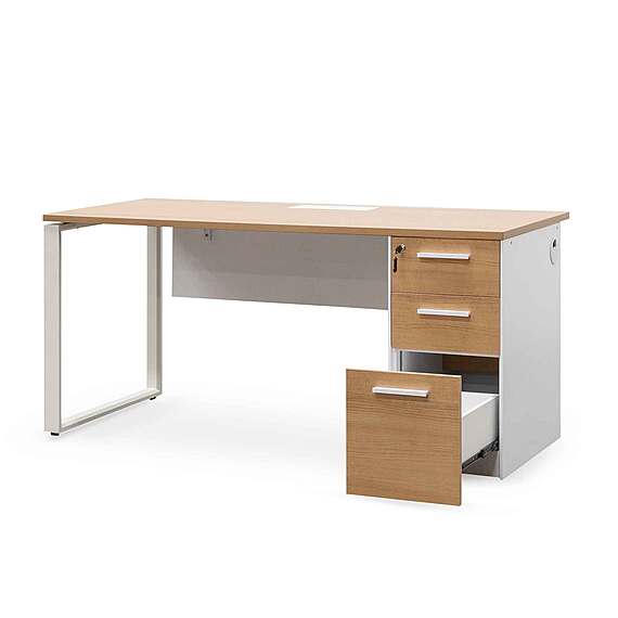 TERNITZ Office Desk