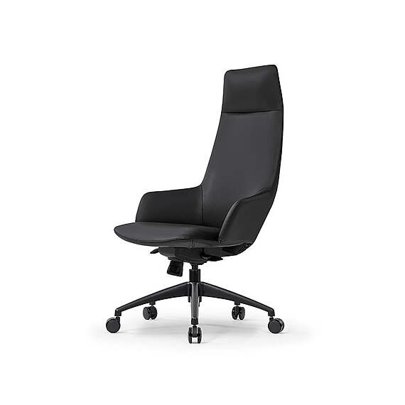 KARUZI Executive Office Chair