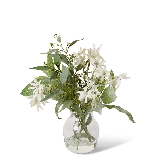 FLANNEL FLOWER AND EUCALYPTUS Glass Vase Arrangement