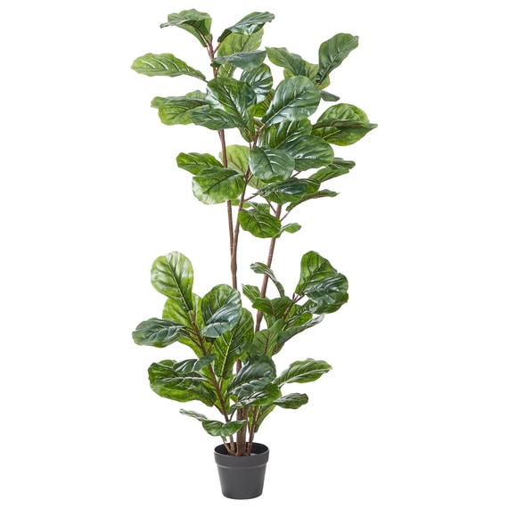 FIDDLE LEAF Artificial Plant