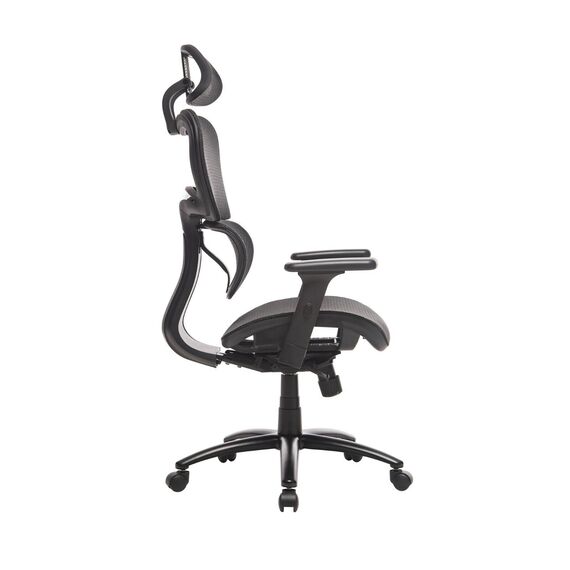 CARMELO Office Chair