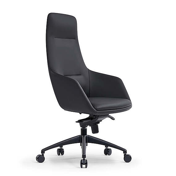 QUIMILI Executive Office Chair