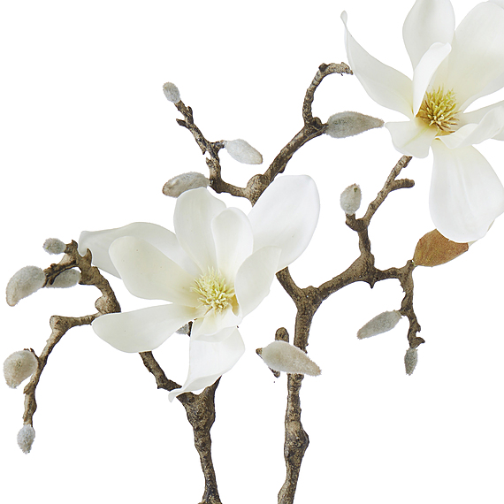 MAGNOLIA FLOWER Stem