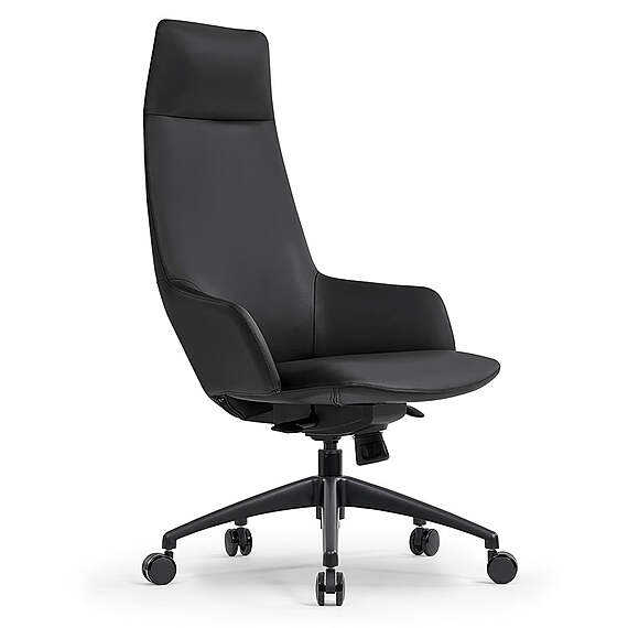 KARUZI Executive Office Chair