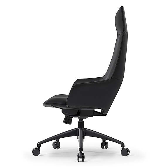 KARUZI Executive Office Chair