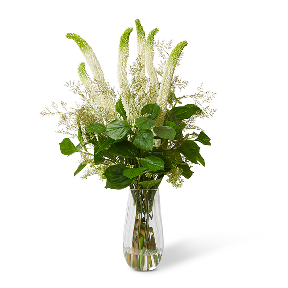 FOXTAIL AND HYDRANGEA Glass Vase Arrangement