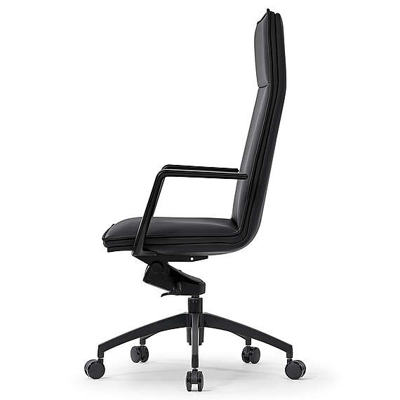 ITORORO Executive Office Chair