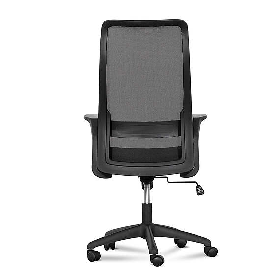 OLEAN Office Chair