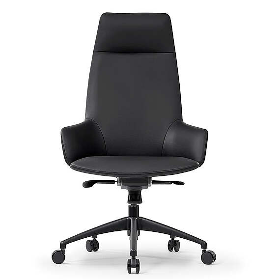 KARUZI Executive Office Chair