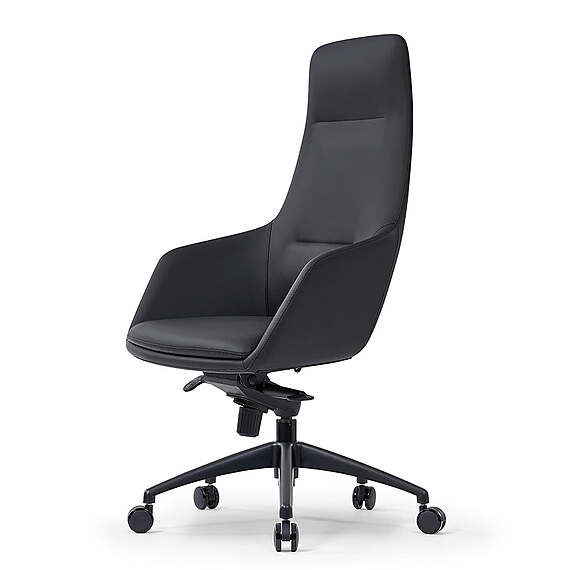 QUIMILI Executive Office Chair