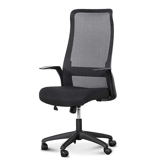 OLEAN Office Chair