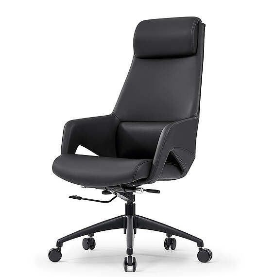 MONAN Executive Office Chair