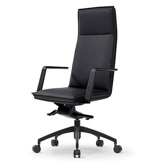 ITORORO Executive Office Chair