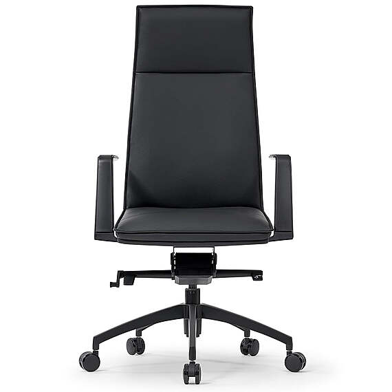 ITORORO Executive Office Chair