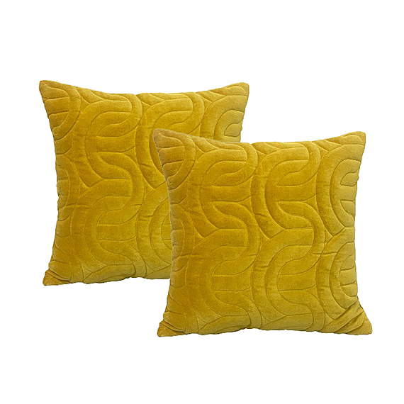 AGADI Set of 2 Feather Filled Cushion