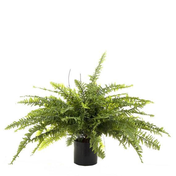 FERROL Faux Hanging Plant