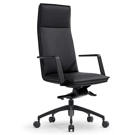 ITORORO Executive Office Chair