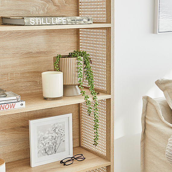 OLAVARRIA Bookshelf