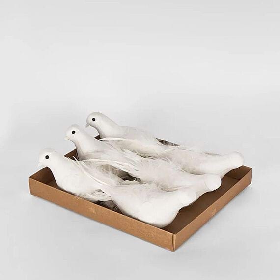 SANTANY Set of 6 Birds Box