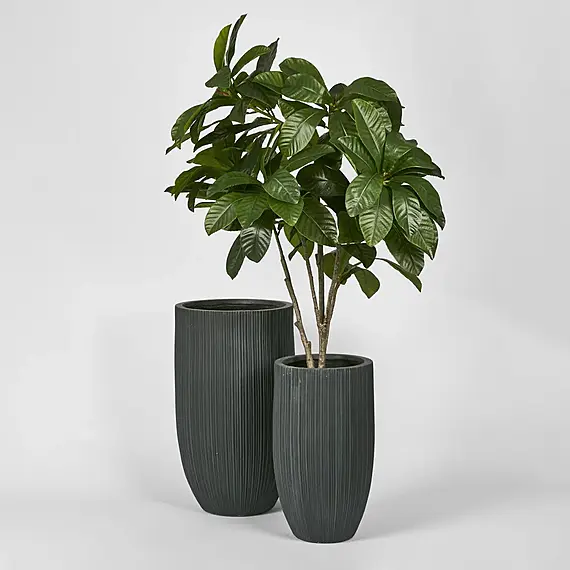 LLICA Set of 2 Pot