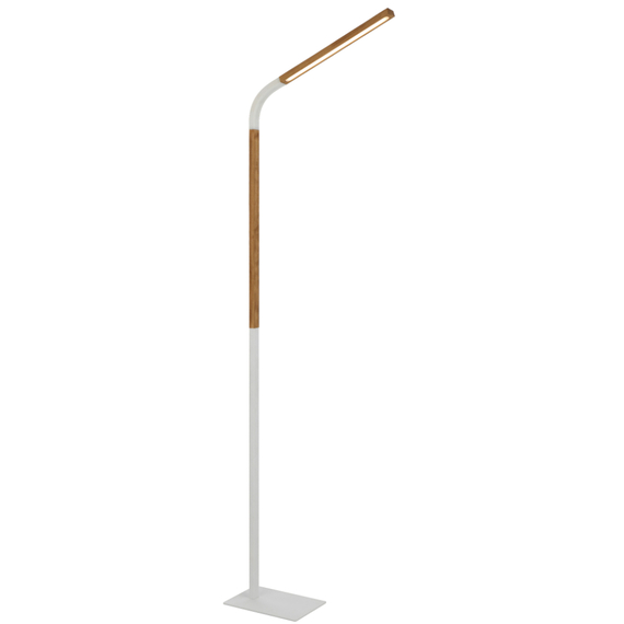 DELAVAN Floor Lamp