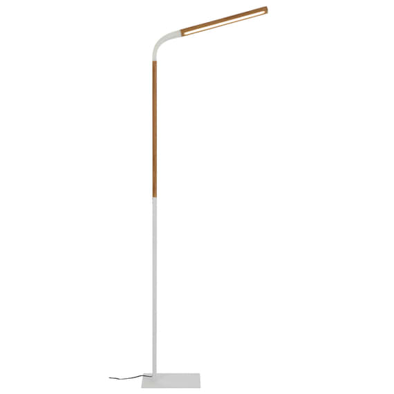 DELAVAN Floor Lamp