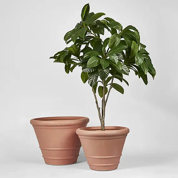 SEBASTE Set of 2 Pot