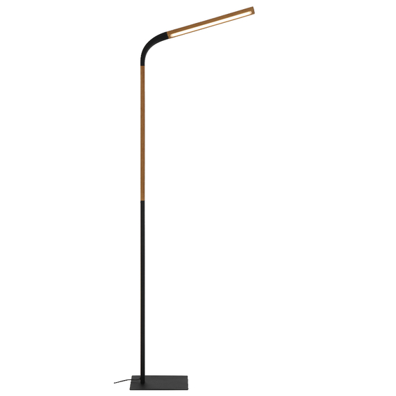 DELAVAN Floor Lamp