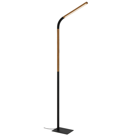 DELAVAN Floor Lamp